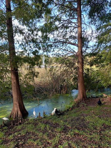 Park «Lake Lily Park», reviews and photos, 900 S Orlando Ave, Maitland, FL 32751, USA