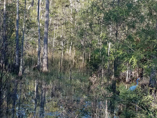 Country Club «Legends Golf & Country Club», reviews and photos, 8600 Legends Blvd, Fort Myers, FL 33912, USA