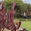 Te Tomairangi Marae