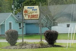 Posy Pot Florist image