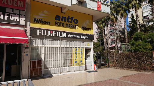 Antfo Photo Market
