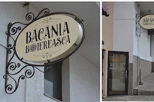 Bacania Boiereasca image