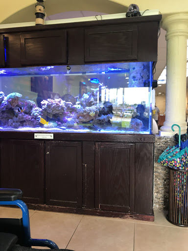 Nail Salon «Q- Nails & Spa», reviews and photos, 12969 SW 112th St, Miami, FL 33186, USA