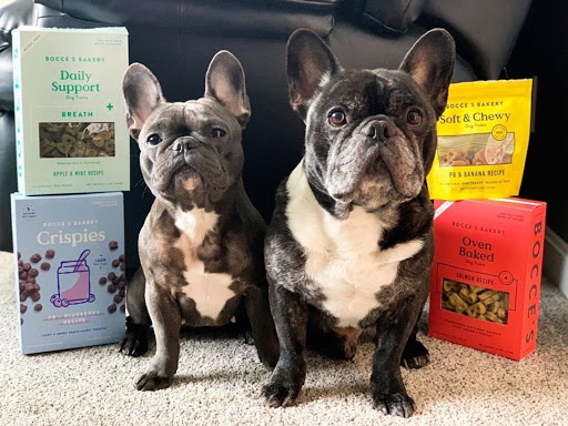 Pet Store «The Pet Place», reviews and photos, 240 Shadowline Dr, Boone, NC 28607, USA