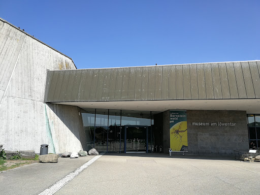 Naturkundemuseum Stuttgart, Museum am Löwentor