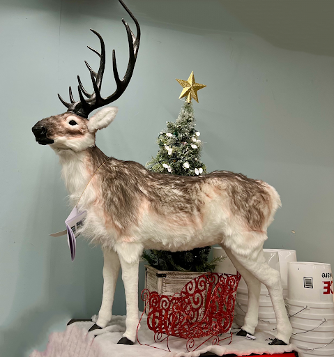 Hardware Store «The Home Center Ace Hardware», reviews and photos, 9688 TN-46, Bon Aqua, TN 37025, USA