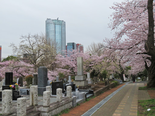 青山霊園