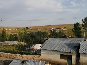 Değirmenkaya Köyü Muhtarliği