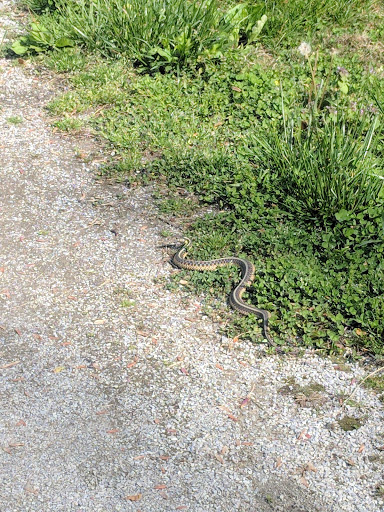 Park «Key Park», reviews and photos, 208 Church St, Lafayette, TN 37083, USA