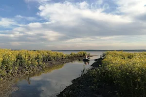 Shchelkunskoye Ozero image