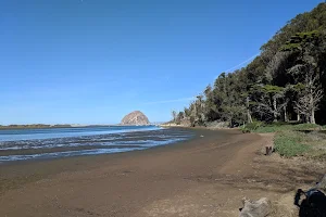 Morro Bay State Park image