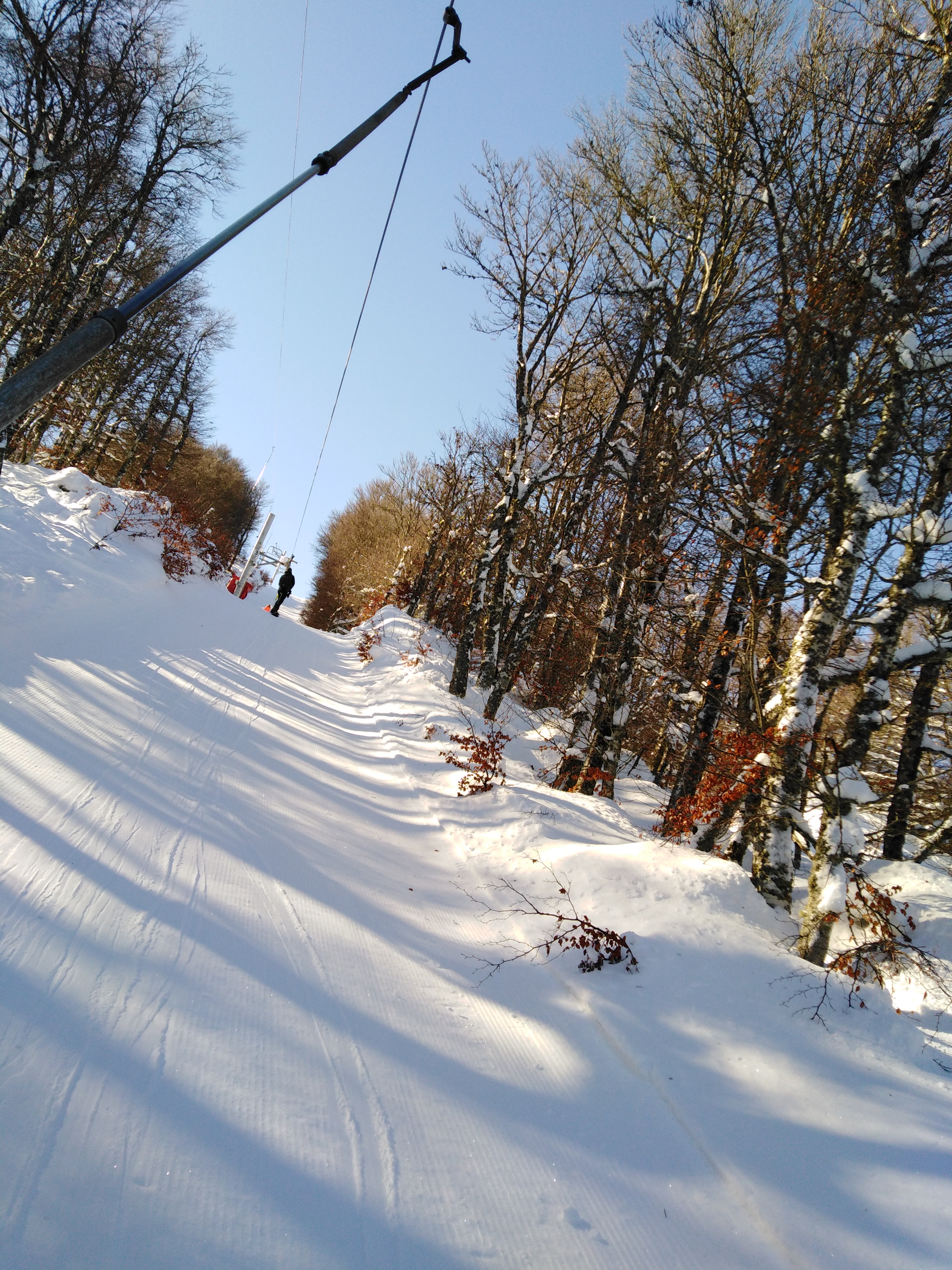 Photo n° 7 de l'avis de L.u fait le 01/03/2019 à 09:48