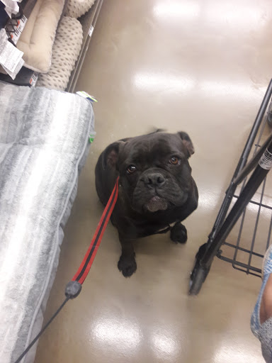 Pet Supply Store «Pet Supplies Plus», reviews and photos, 3801 S Cooper St, Arlington, TX 76015, USA