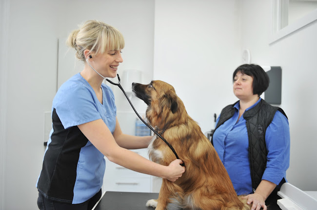 Westwood Veterinary Practice - Leeds