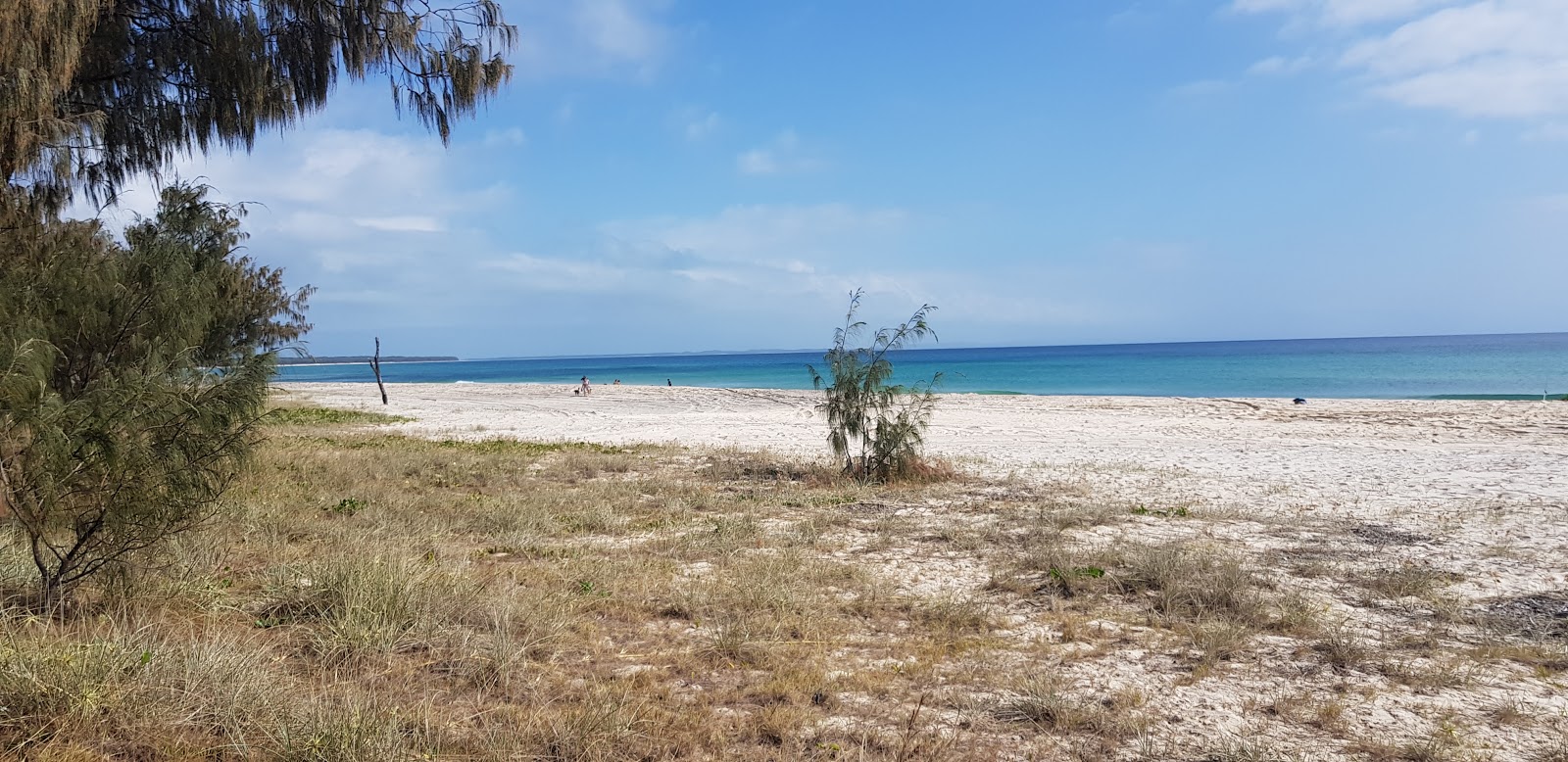 Valokuva Flinders Beachista. sisältäen pitkä suora