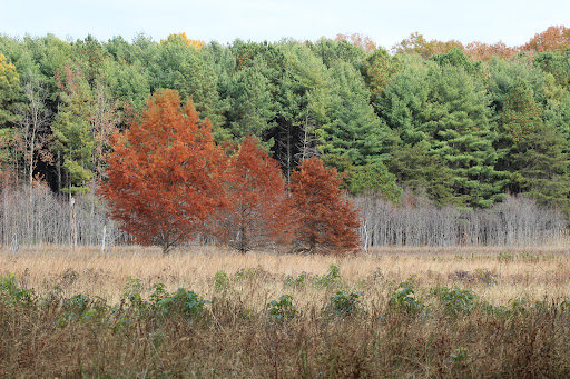 State Park «Caledon State Park», reviews and photos, 11617 Caledon Rd, King George, VA 22485, USA