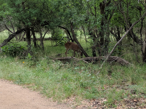 Park «Phil Hardberger Park», reviews and photos, 13203 Blanco Rd, San Antonio, TX 78216, USA