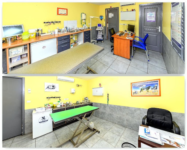 Clinique Vétérinaire Porticcio - Ajaccio