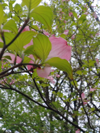 Park «John Anderson Park & Splash Park», reviews and photos, 4701 E 135 St, Grandview, MO 64030, USA