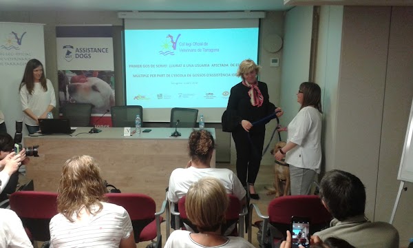 Colegio Oficial de Veterinarios de Tarragona