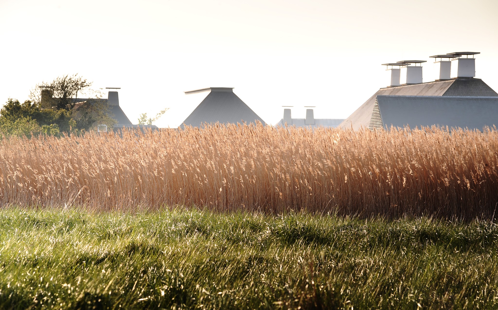 Picture of a place: Snape Maltings