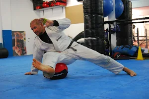 BAD DOG BJJ | Brazilian Jiu-Jitsu Training Club | NICKBJJ image