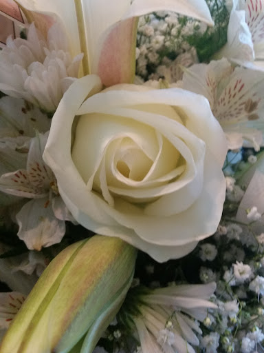 Garden Center «Lake Anna Nursery», reviews and photos, 71 Oak Grove Dr, Mineral, VA 23117, USA