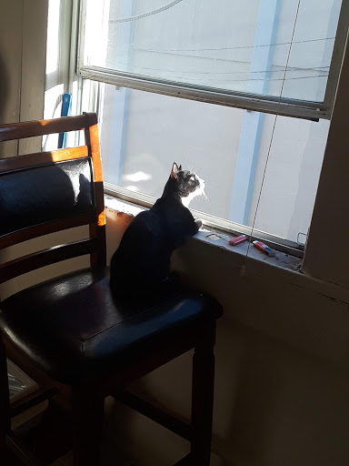 Nearly New Shop, 70 Monmouth St, Red Bank, NJ 07701, USA, 