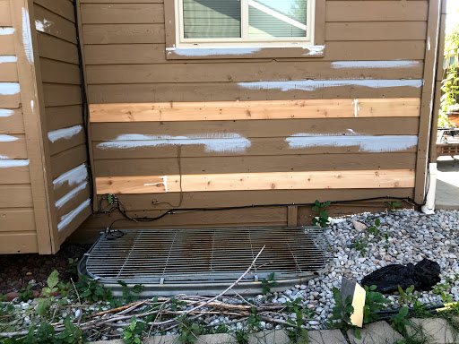 Painter «Elite Painting Colorado», reviews and photos, 1465 Blue Sky Cir unit 17-202, Erie, CO 80516, USA