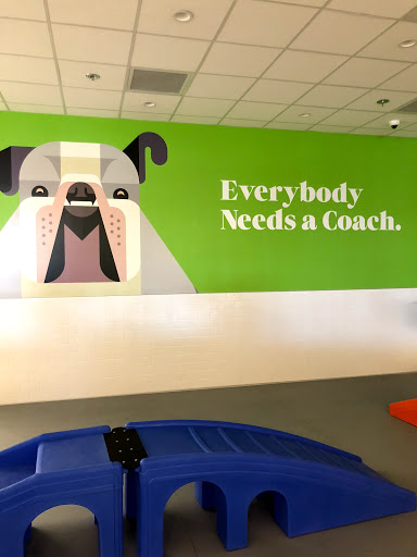 Petco image