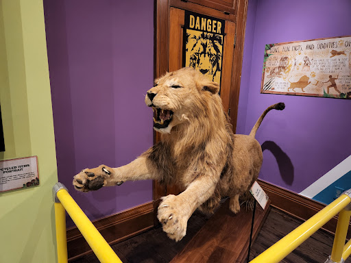 Tourist Attraction «Ghost Train Adventure», reviews and photos, 19 San Marco Ave, St Augustine, FL 32084, USA