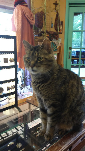 Art Gallery «Saugatuck Gallery», reviews and photos, 317 Butler St, Saugatuck, MI 49453, USA