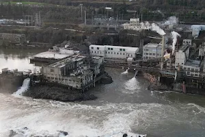 Willamette Falls image