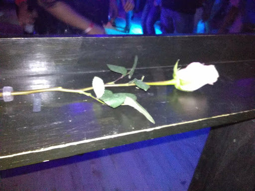 Night Club «La Nueva Luna Bar Music Venue», reviews and photos, 1082 S 2nd St, Abilene, TX 79602, USA