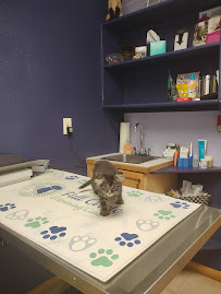 Full Circle Veterinary Care - Photo 9 - Car repair in Johnstown, CO, Greeley