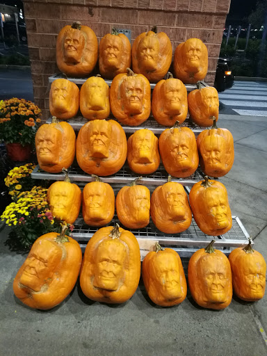 Shopping Mall «Brandywine Square Shopping Center», reviews and photos, Quarry Rd & U.S. 30, Downingtown, PA 19335, USA