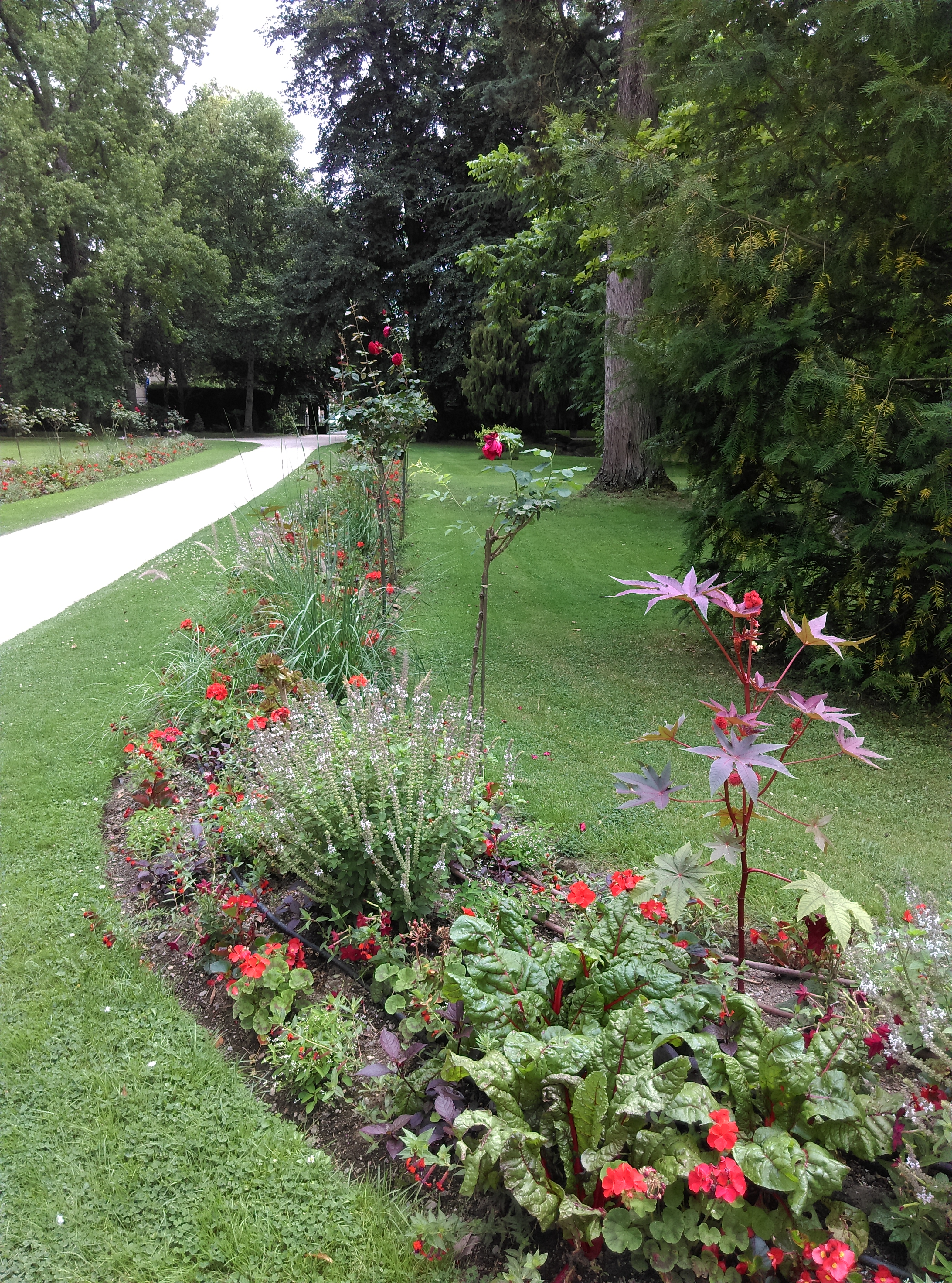 Photo n° 1 de l'avis de Sandra.a fait le 14/07/2018 à 12:13