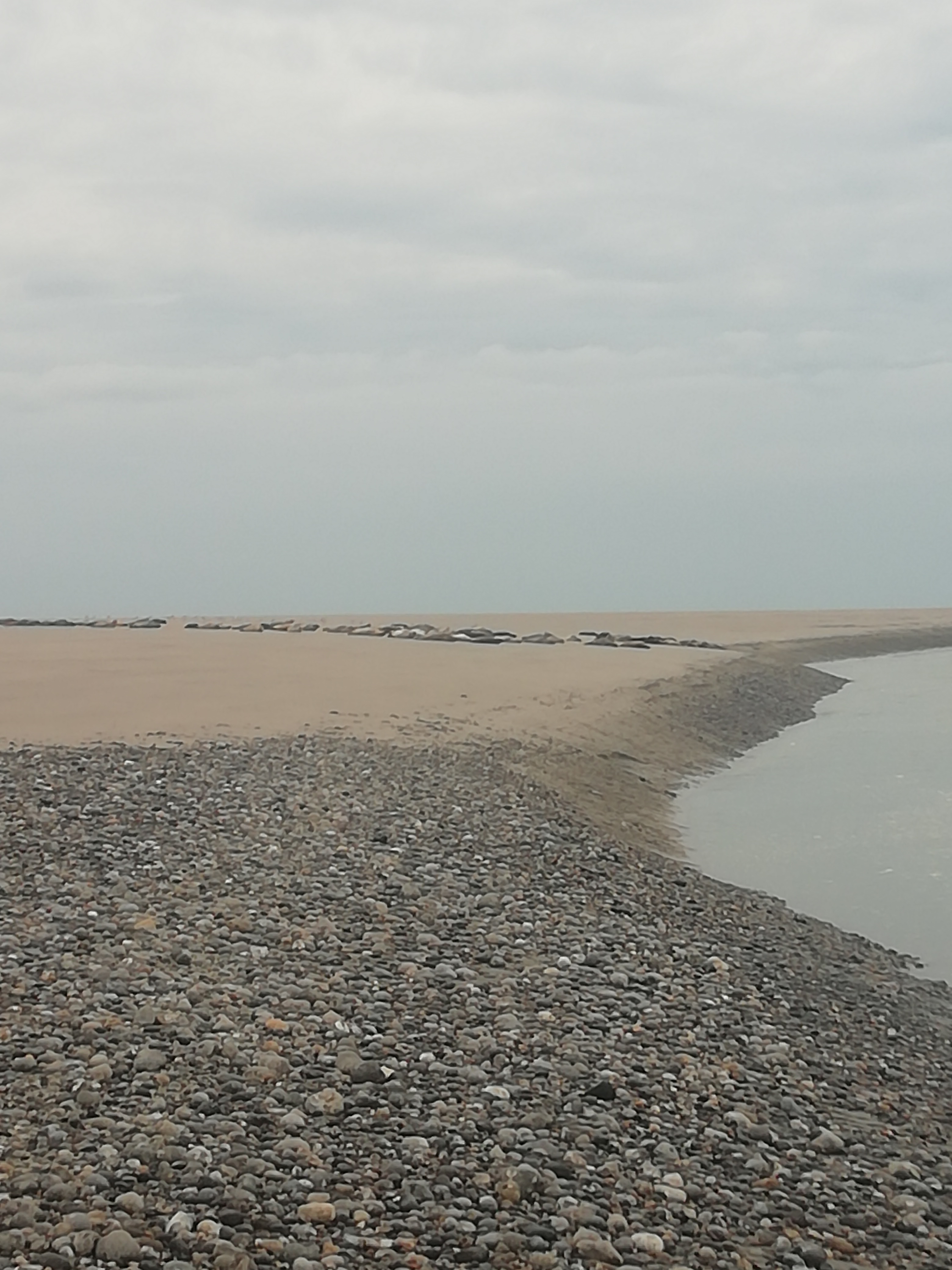Photo n° 4 de l'avis de Vince.r fait le 16/08/2019 à 22:36