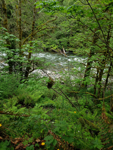 Tourist Attraction «Melmont ghost town», reviews and photos, Carbon River Rd, Carbonado, WA 98323, USA