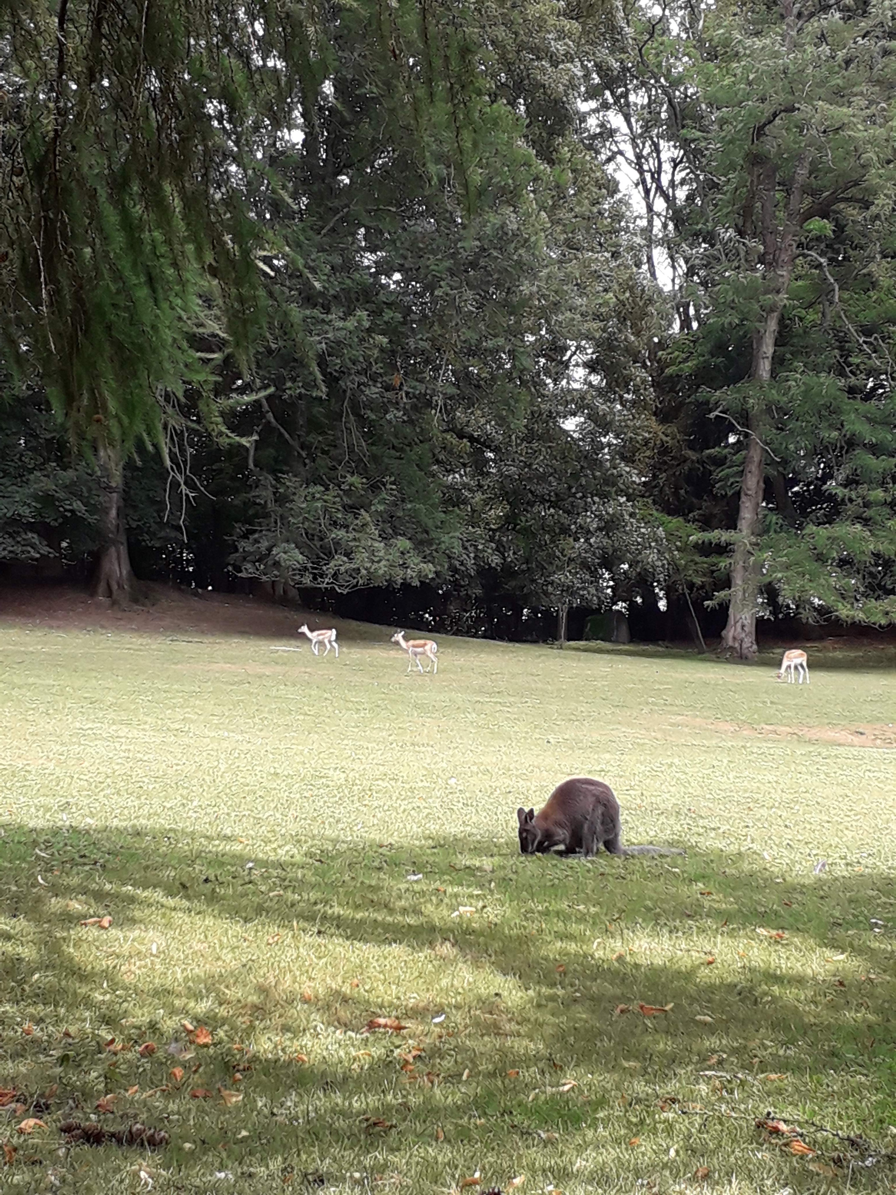 Photo n° 6 de l'avis de Le.o fait le 22/07/2022 à 15:09