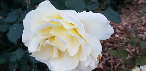 Community Center «SeaTac Community Center», reviews and photos, 13735 24th Ave S, SeaTac, WA 98168, USA