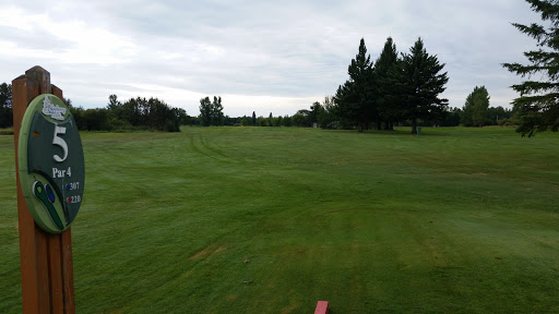 Golf Course «Blueberry Hills Golf Course», reviews and photos, 44510 Golf Course Rd, Deer River, MN 56636, USA
