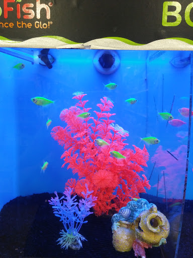 Pet Supply Store «PetSmart», reviews and photos, 263 Midway Blvd, Elyria, OH 44035, USA