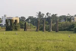 Iconic Pillars of Sisupalagada image