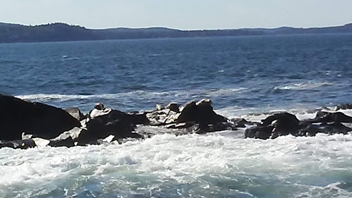 Tourist Attraction «Acadian Boat Tours», reviews and photos, 119 Eden St, Bar Harbor, ME 04609, USA