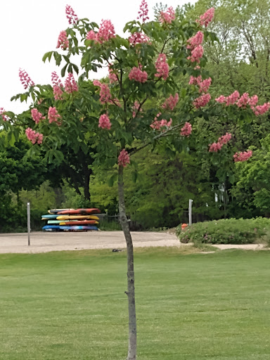 Memorial Park «Beverly David S Lynch Park», reviews and photos, 55 Ober St, Beverly, MA 01915, USA