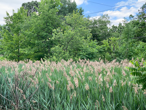 Tourist Attraction «Catskill Mountain Railroad», reviews and photos, 149 Aaron Ct, Kingston, NY 12401, USA