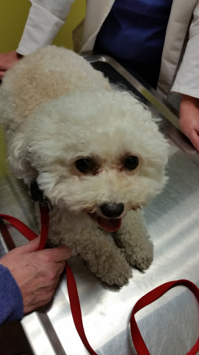 Pet Supply Store «PetSmart», reviews and photos, 700 N Milwaukee Ave, Vernon Hills, IL 60061, USA