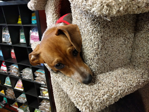 Pet Supply Store «EarthWise Pet Supply», reviews and photos, 7316 Yankee Rd, Liberty Township, OH 45044, USA