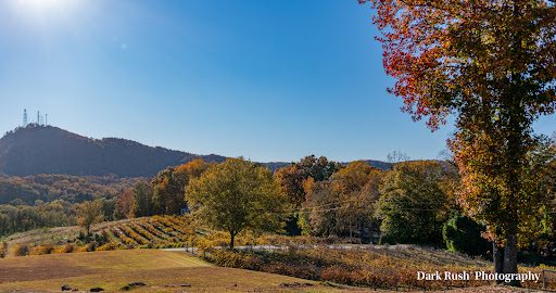 Winery «Currahee Vineyard & Winery», reviews and photos, 3301 W Currahee St, Toccoa, GA 30577, USA